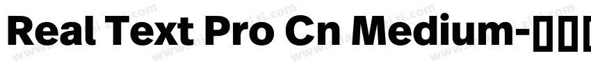 Real Text Pro Cn Medium字体转换